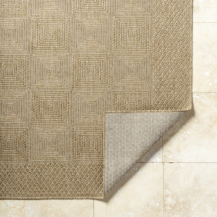Anabia Traditional Style Beige Outdoor Area Rug