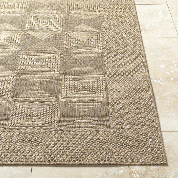 Anabia Traditional Style Beige Outdoor Area Rug