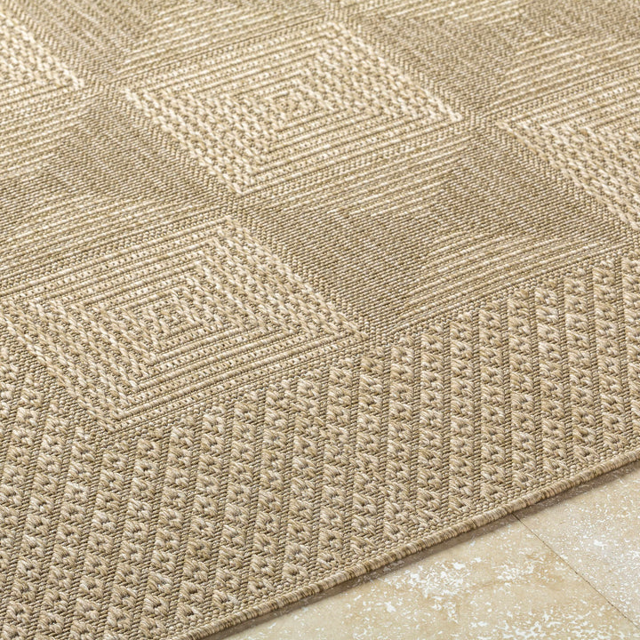 Anabia Traditional Style Beige Outdoor Area Rug