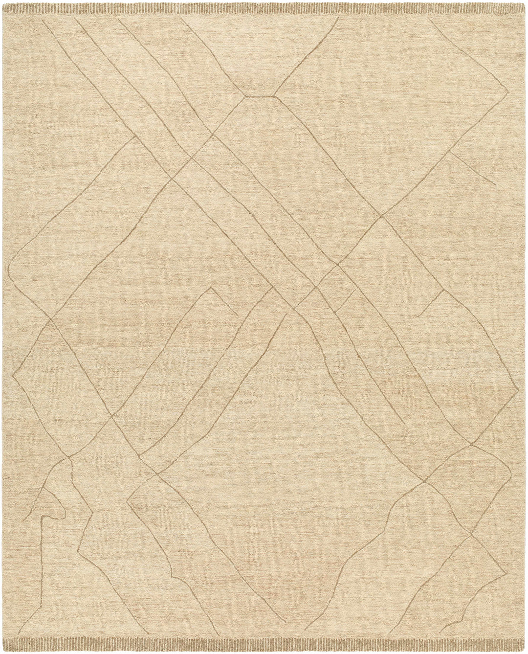 Addien Beige Contemporary Style Hand Tufted Wool Area Rug