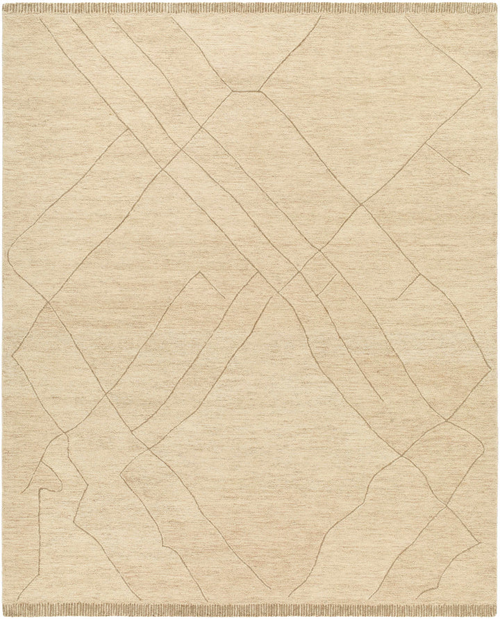 Addien Beige Contemporary Style Hand Tufted Wool Area Rug