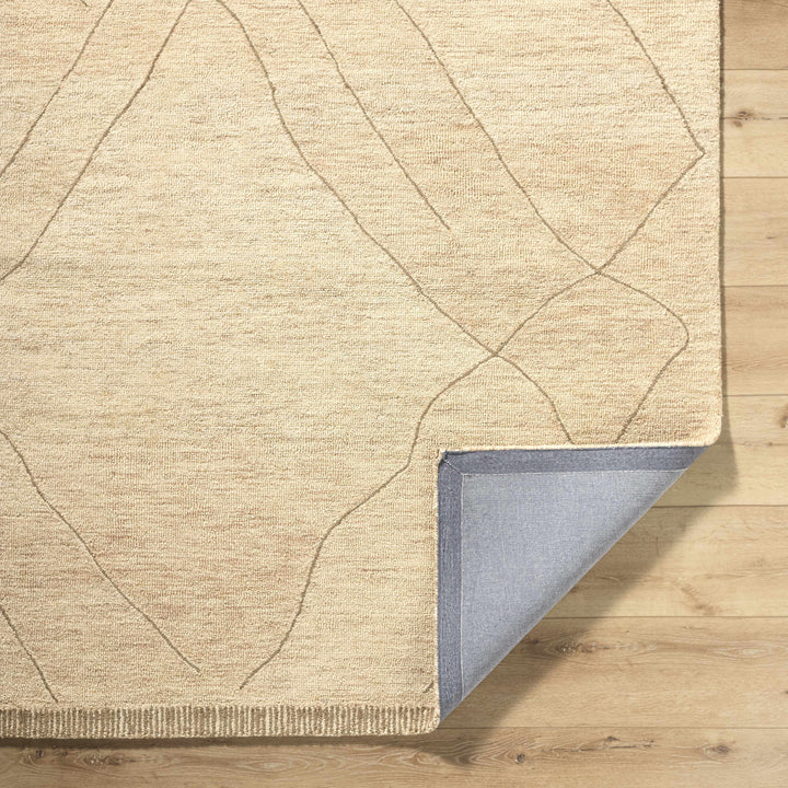 Addien Beige Contemporary Style Hand Tufted Wool Area Rug