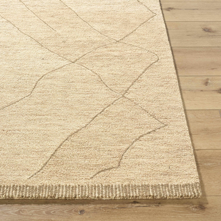 Addien Beige Contemporary Style Hand Tufted Wool Area Rug