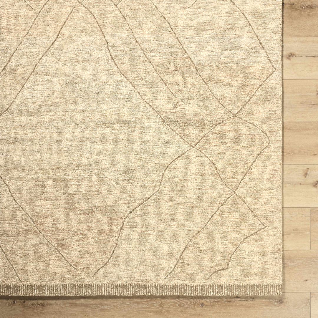 Addien Beige Contemporary Style Hand Tufted Wool Area Rug