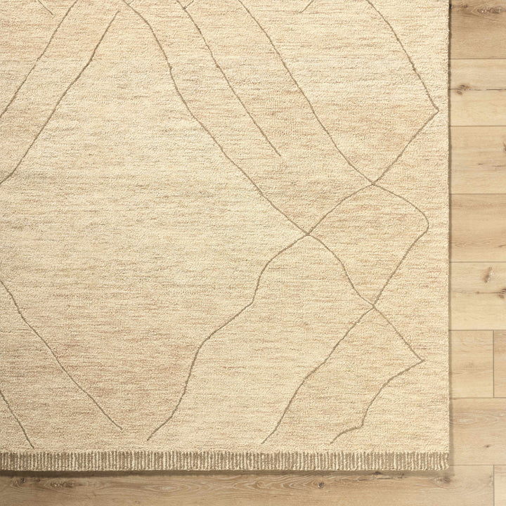 Addien Beige Contemporary Style Hand Tufted Wool Area Rug