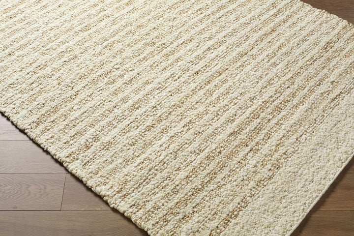 Yaron Contemporary Style Beige Hand Woven Area Rug