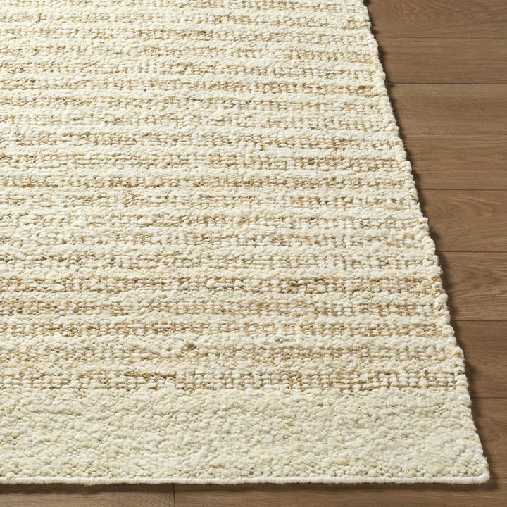 Yaron Contemporary Style Beige Hand Woven Area Rug