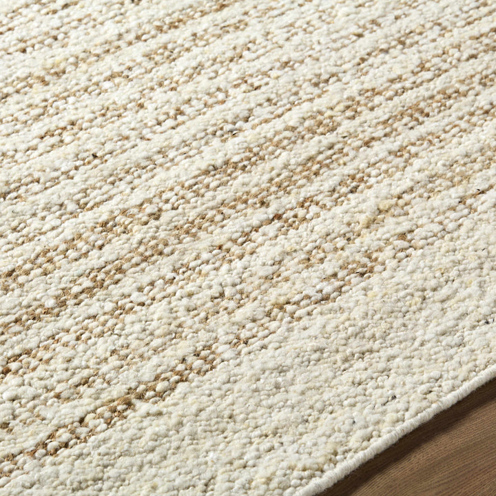 Yaron Contemporary Style Beige Hand Woven Area Rug