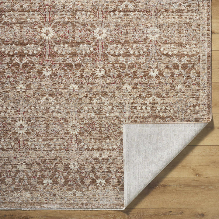 Ammiel Traditional Brown And Tan Rug