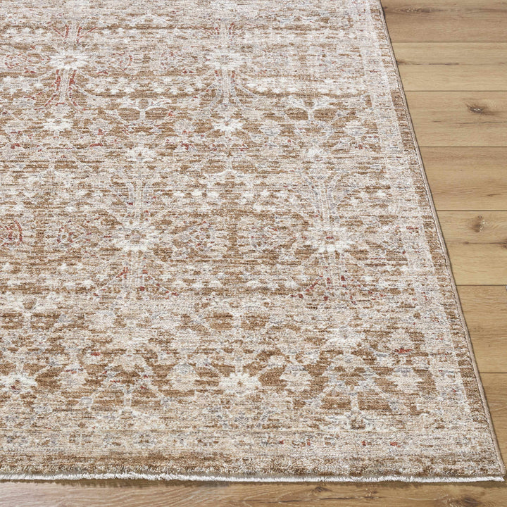 Ammiel Traditional Brown And Tan Rug