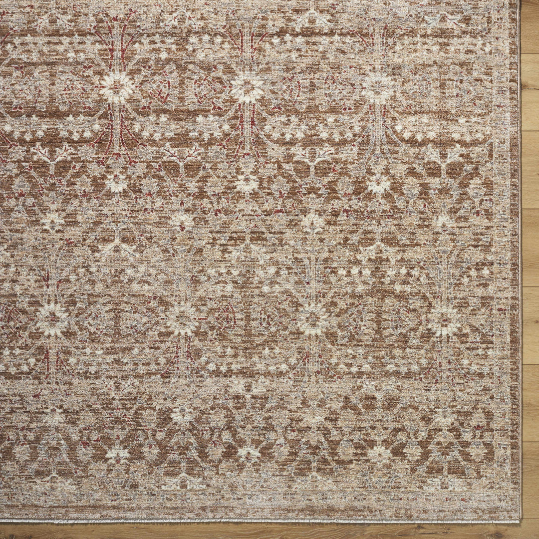 Ammiel Traditional Brown And Tan Rug