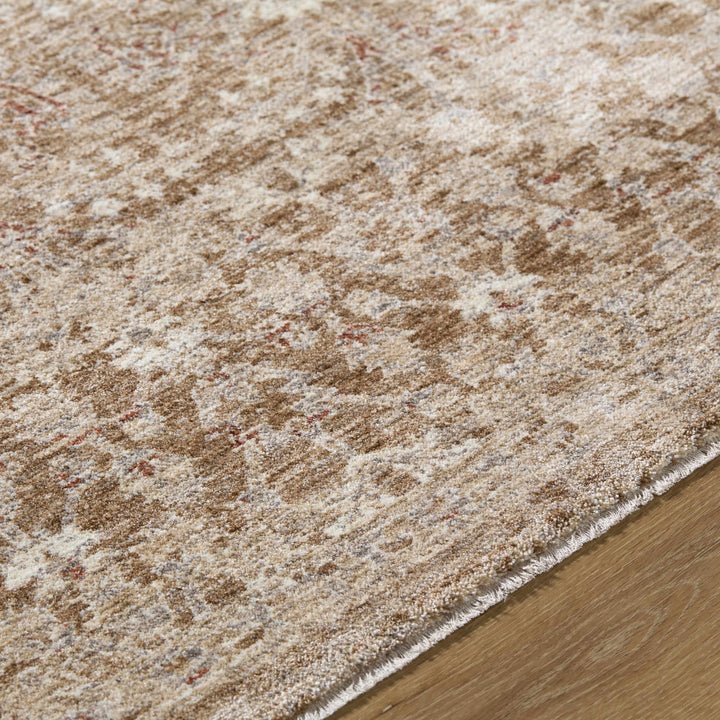 Ammiel Traditional Brown And Tan Rug