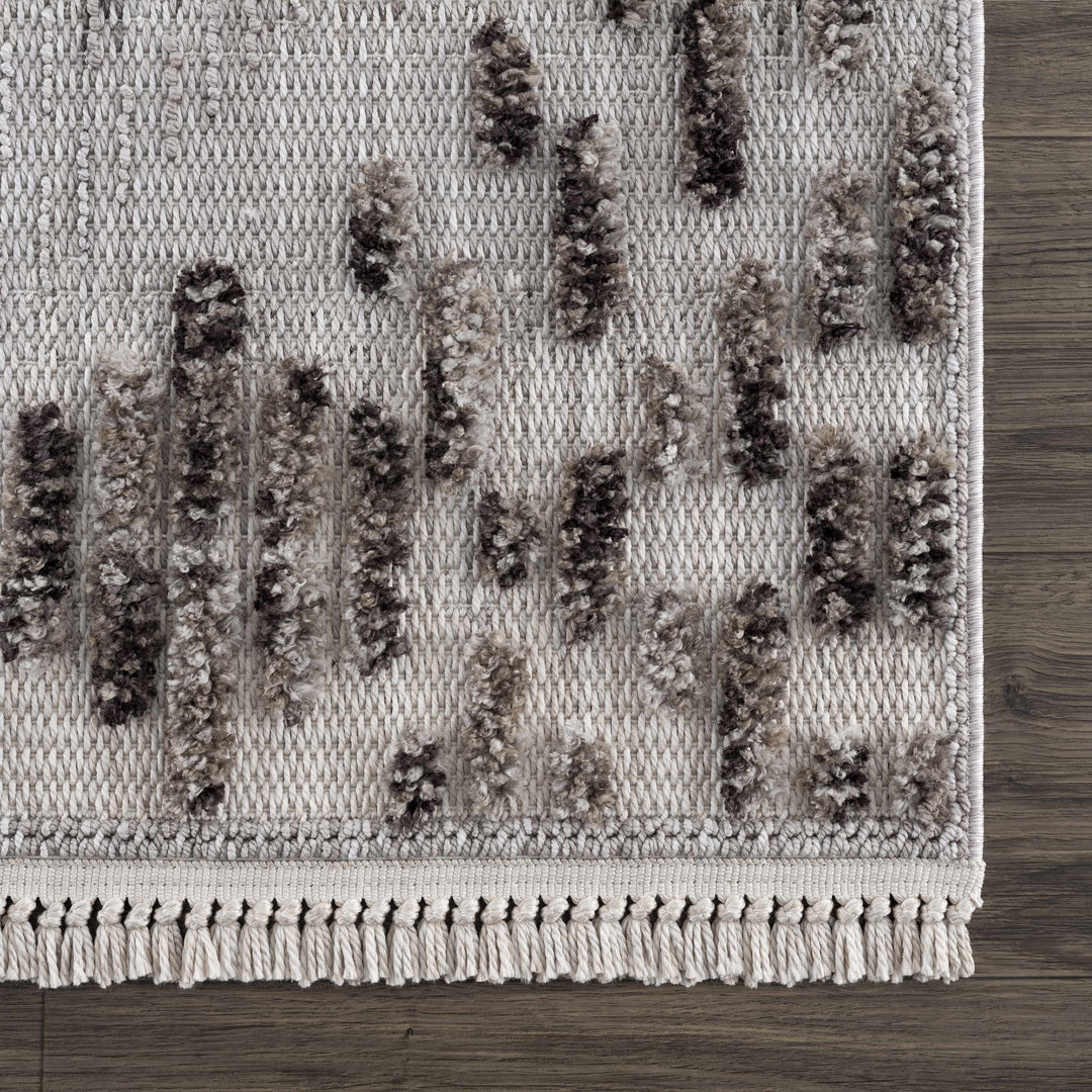 Cabarroguis Traditional Style Gray Area Rug