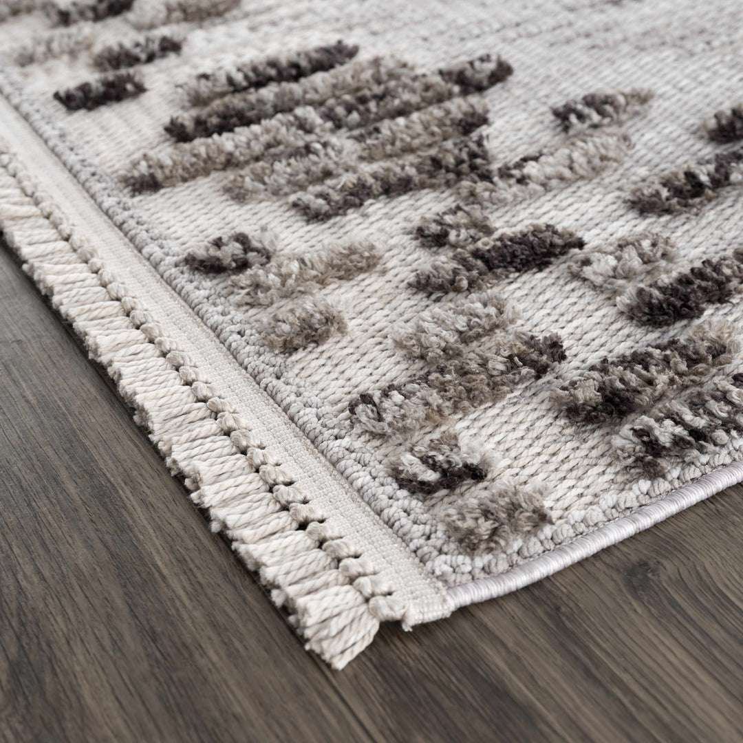 Cabarroguis Traditional Style Gray Area Rug