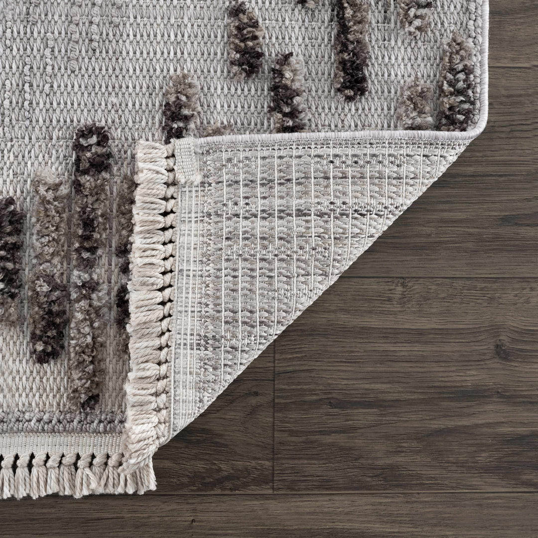 Cabarroguis Traditional Style Gray Area Rug