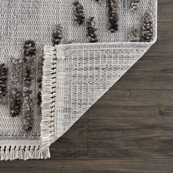 Cabarroguis Traditional Style Gray Area Rug