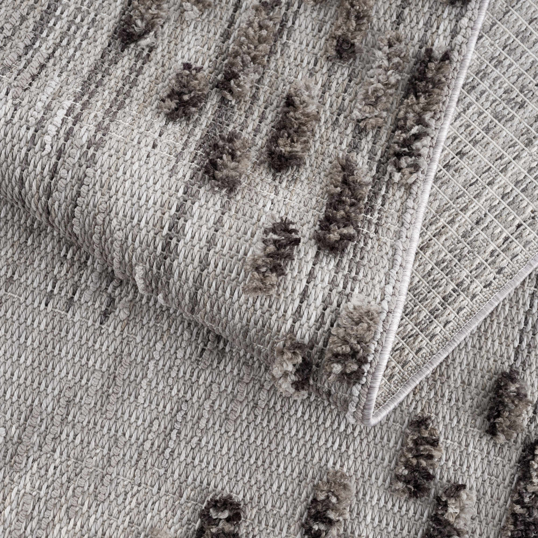 Cabarroguis Traditional Style Gray Area Rug