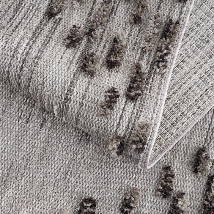 Cabarroguis Traditional Style Gray Area Rug
