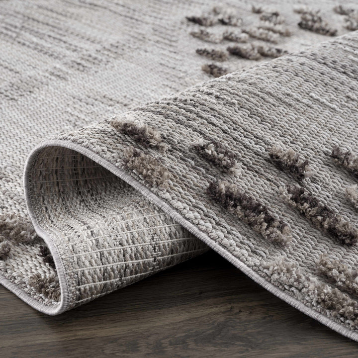Cabarroguis Traditional Style Gray Area Rug