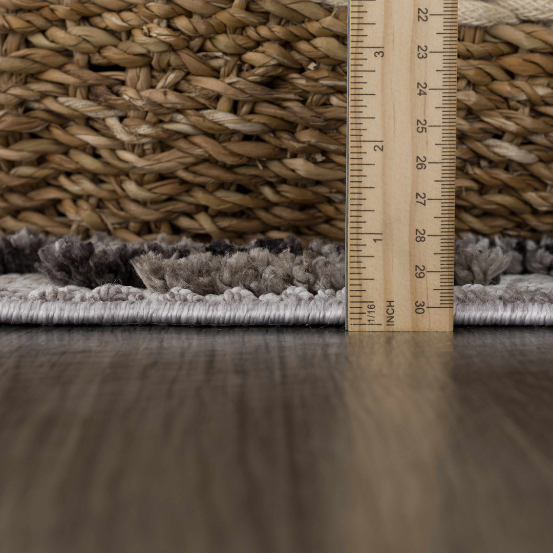 Cabarroguis Traditional Style Gray Area Rug