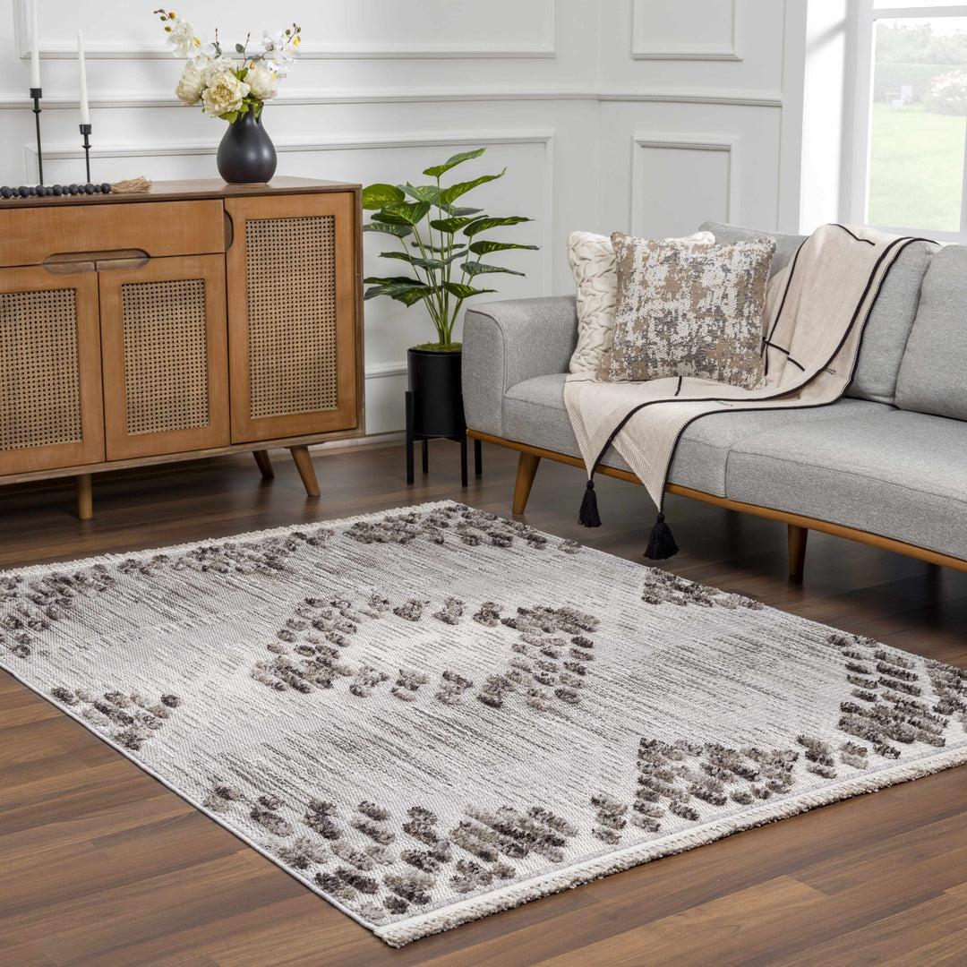 Cabarroguis Traditional Style Gray Area Rug