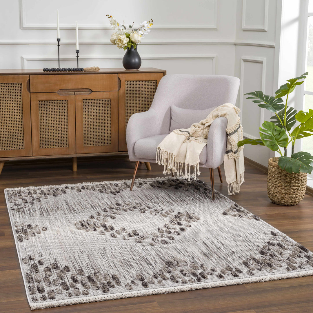 Cabarroguis Traditional Style Gray Area Rug