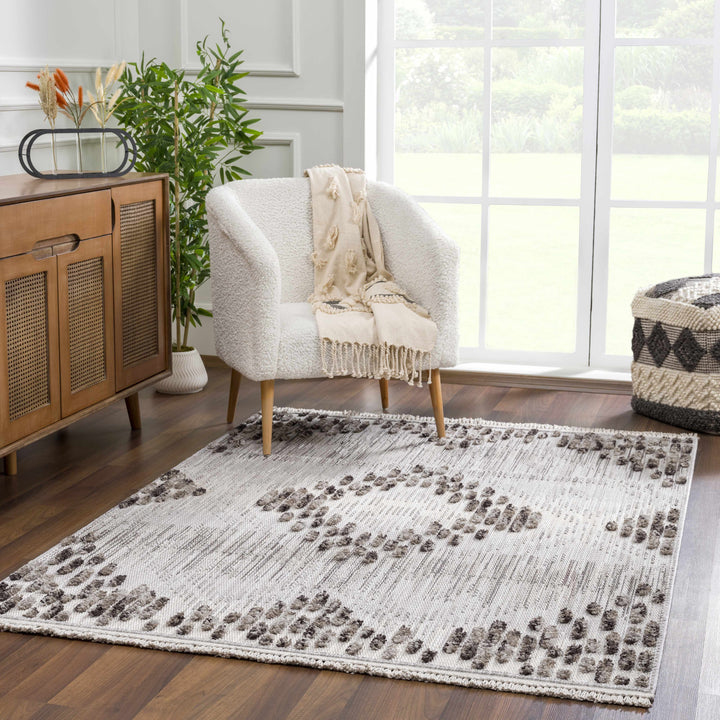Cabarroguis Traditional Style Gray Area Rug
