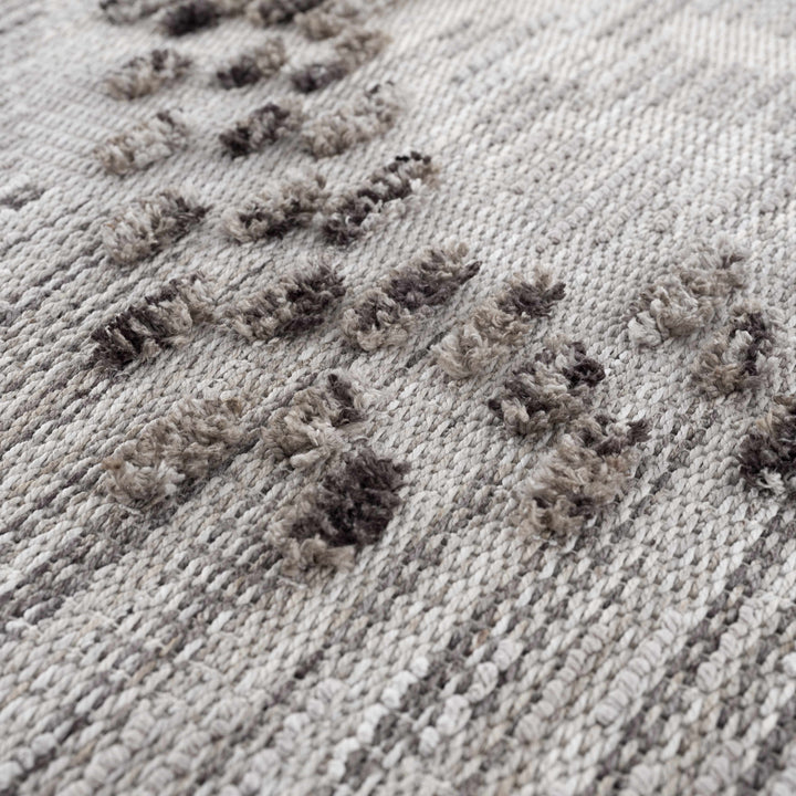 Cabarroguis Traditional Style Gray Area Rug