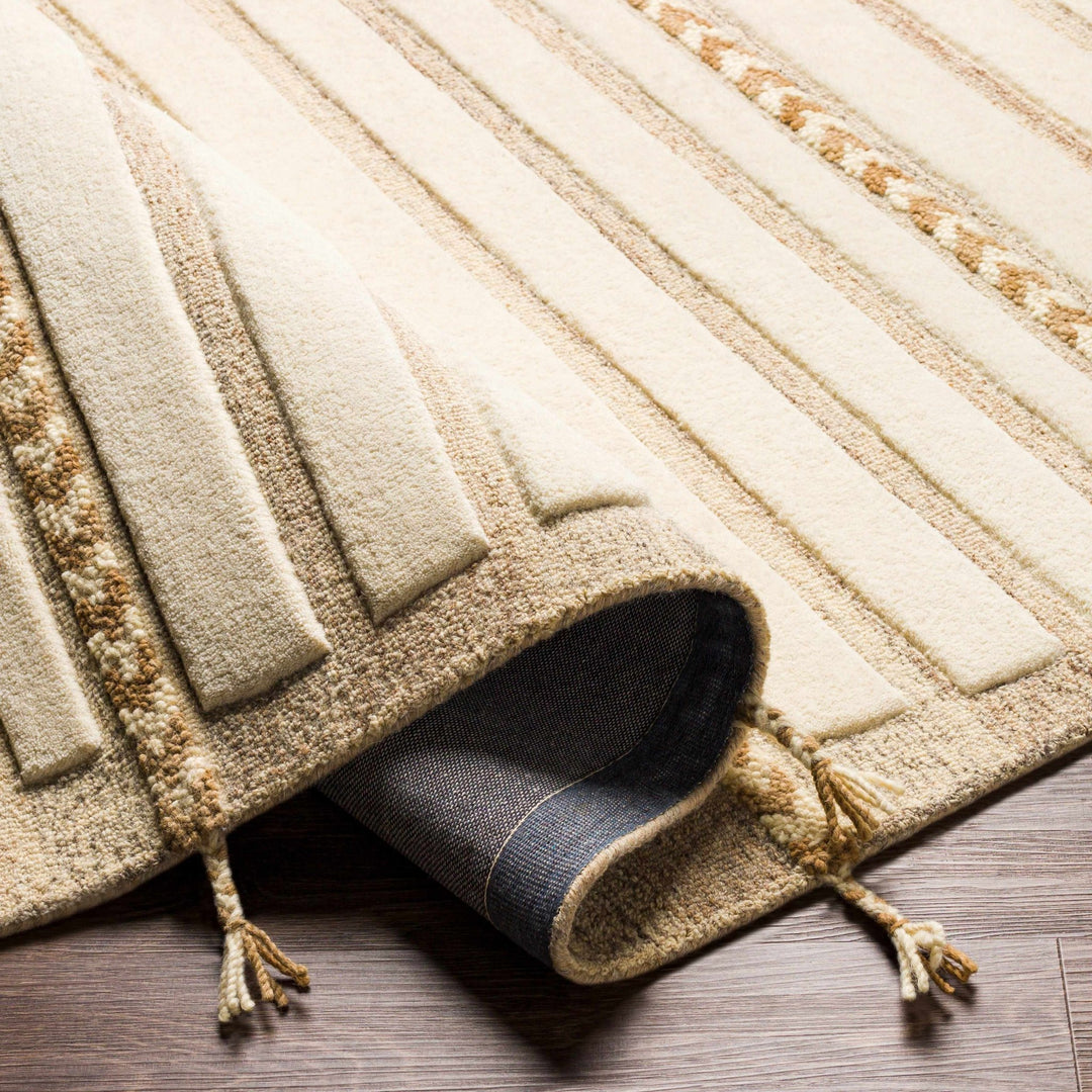 Abercarn Beige Modern Style Hand Tufted Wool Area Rug - The Rug Decor