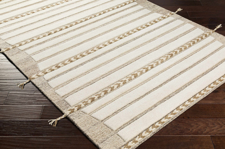 Abercarn Beige Modern Style Hand Tufted Wool Area Rug - The Rug Decor