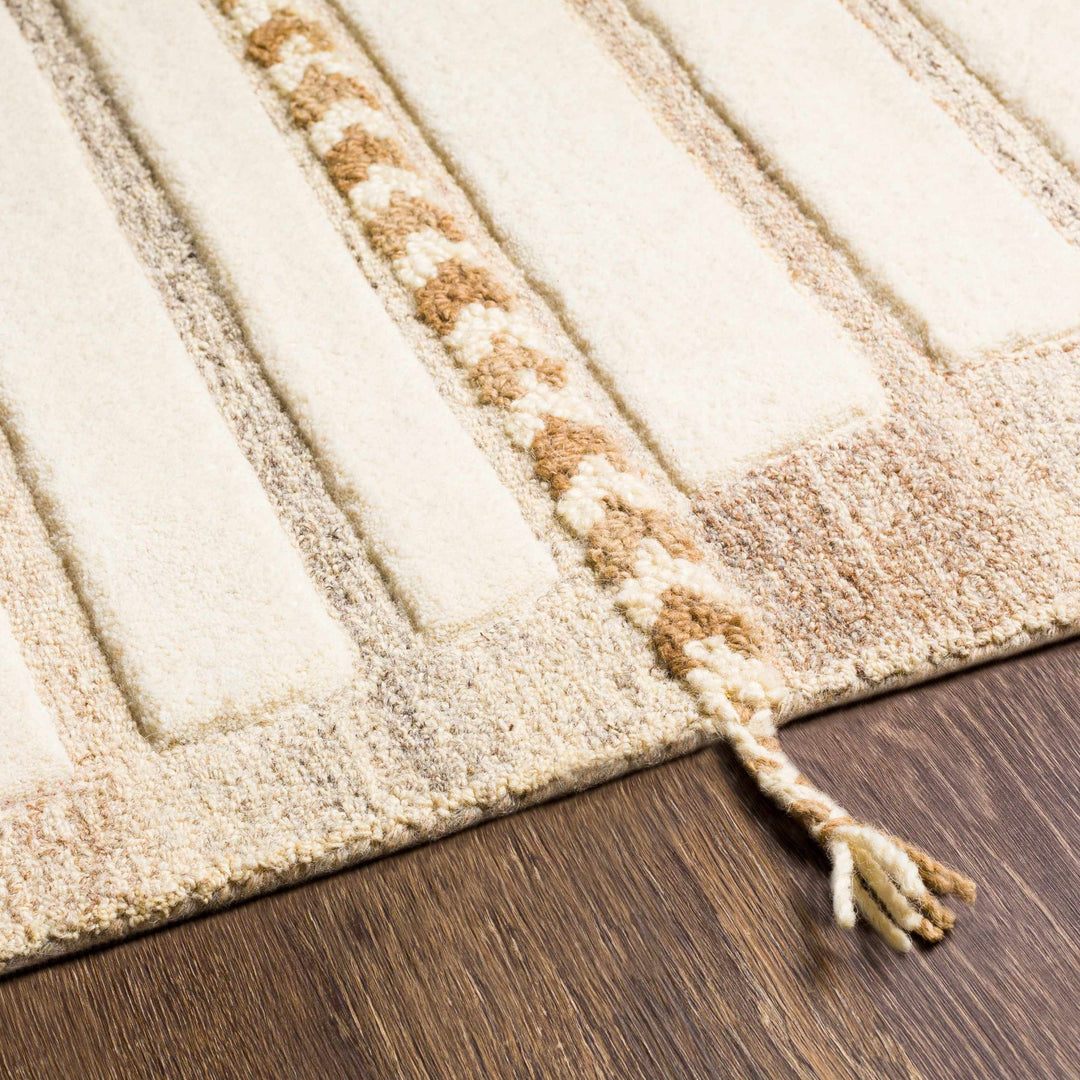 Abercarn Beige Modern Style Hand Tufted Wool Area Rug - The Rug Decor