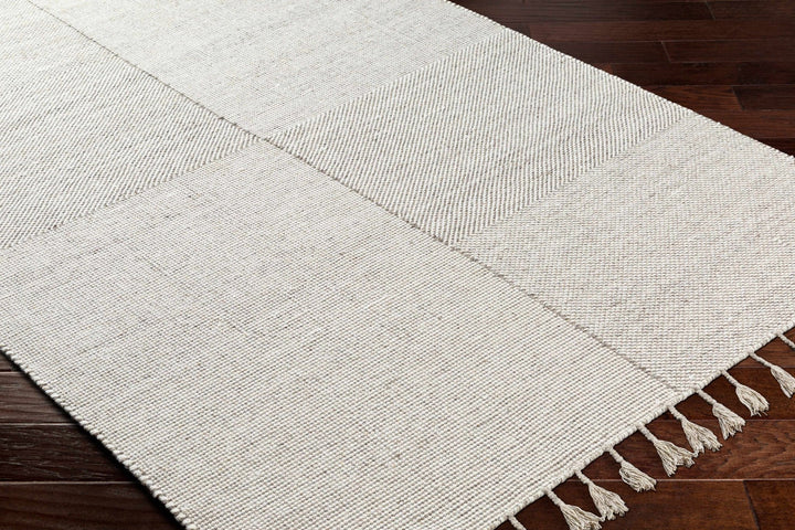 Abhay Bohemian Style Beige Hand Woven Wool Area Rug - The Rug Decor