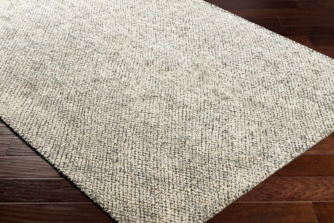 Abiba Beige Contemporary Style Handloom Area Rug - The Rug Decor