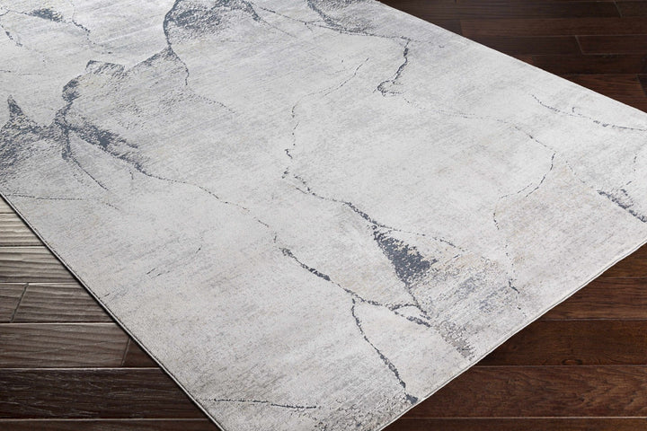 Abstract Charcoal And Gray Contemporary style Rug - The Rug Decor