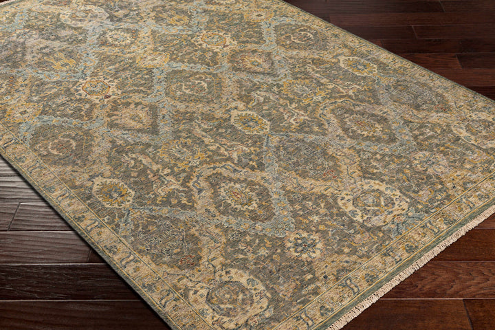 Acmar Beige And Brown Traditional Style Hand Knotted Area Rug