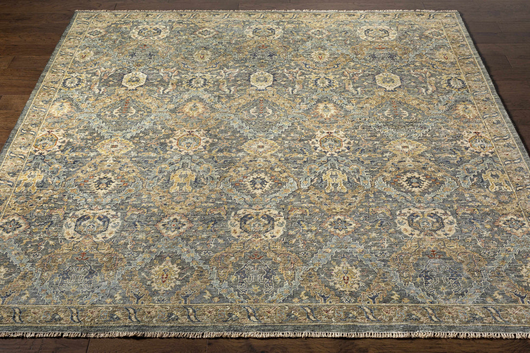 Acmar Beige And Brown Traditional Style Hand Knotted Area Rug