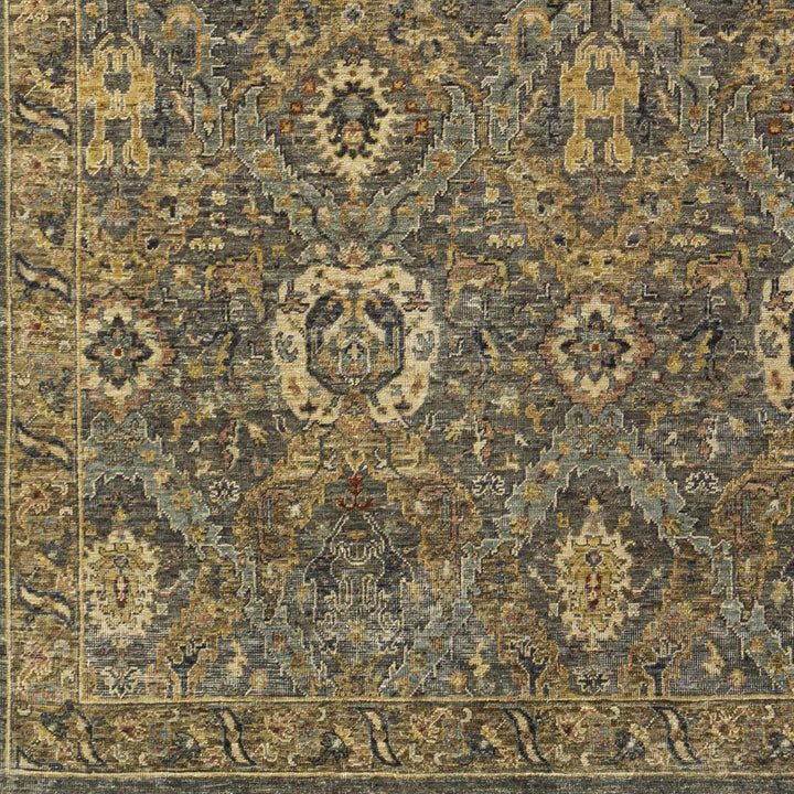 Acmar Beige And Brown Traditional Style Hand Knotted Area Rug