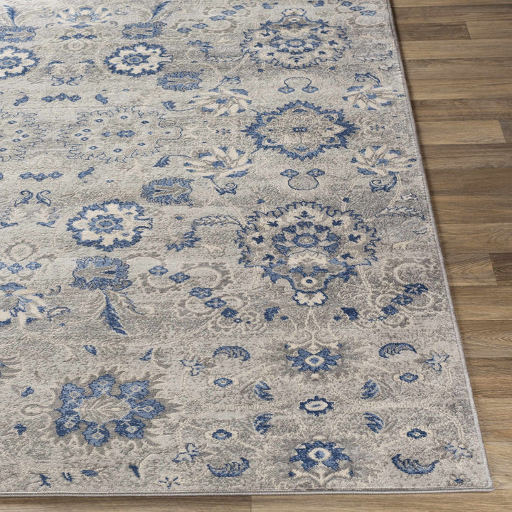 Adairsville Blue And Gray Traditional Floral Design Area Rug
