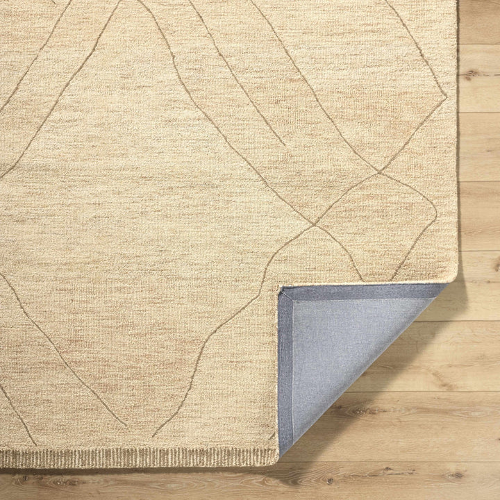 Addien Beige Contemporary Style Hand Tufted Wool Area Rug - The Rug Decor