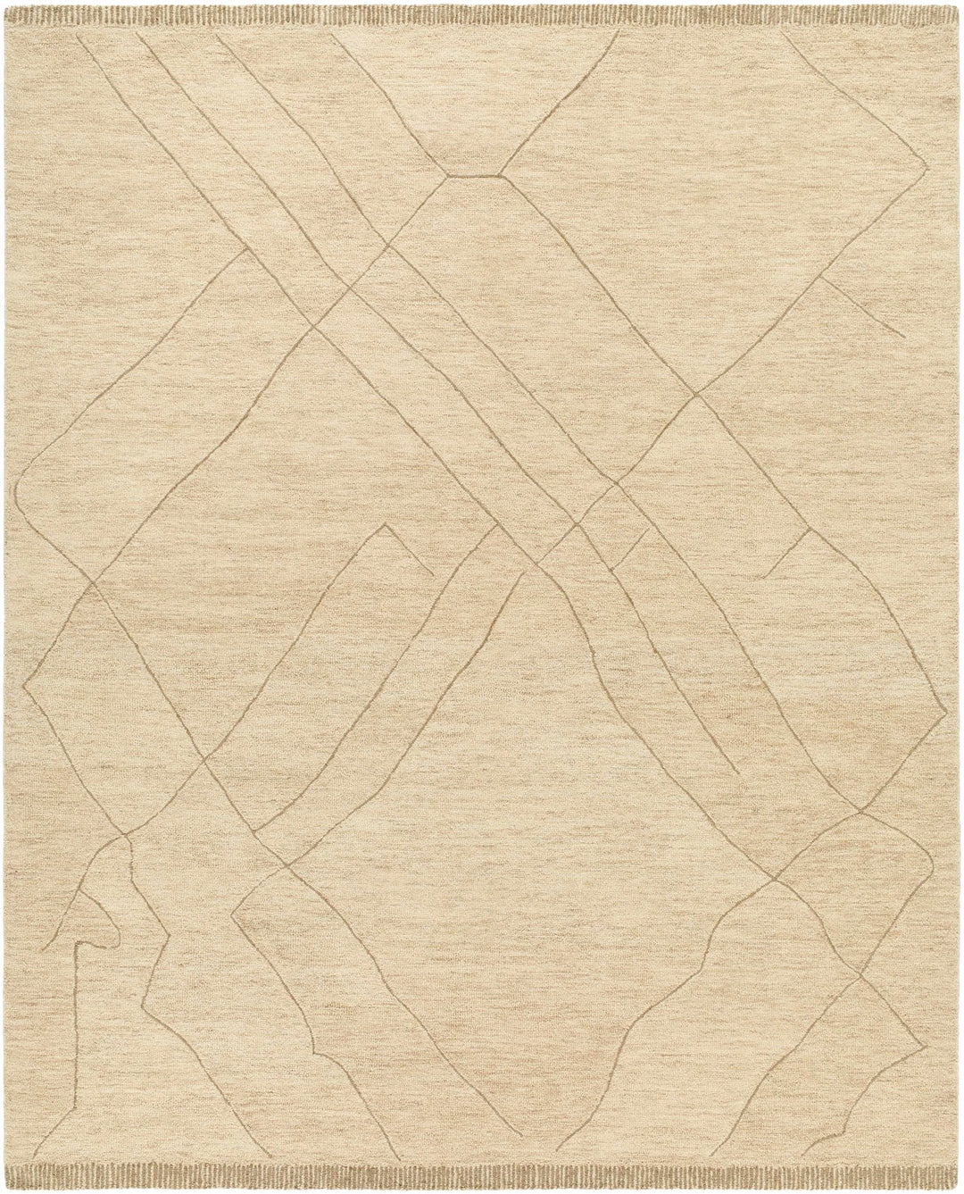 Addien Beige Contemporary Style Hand Tufted Wool Area Rug - The Rug Decor