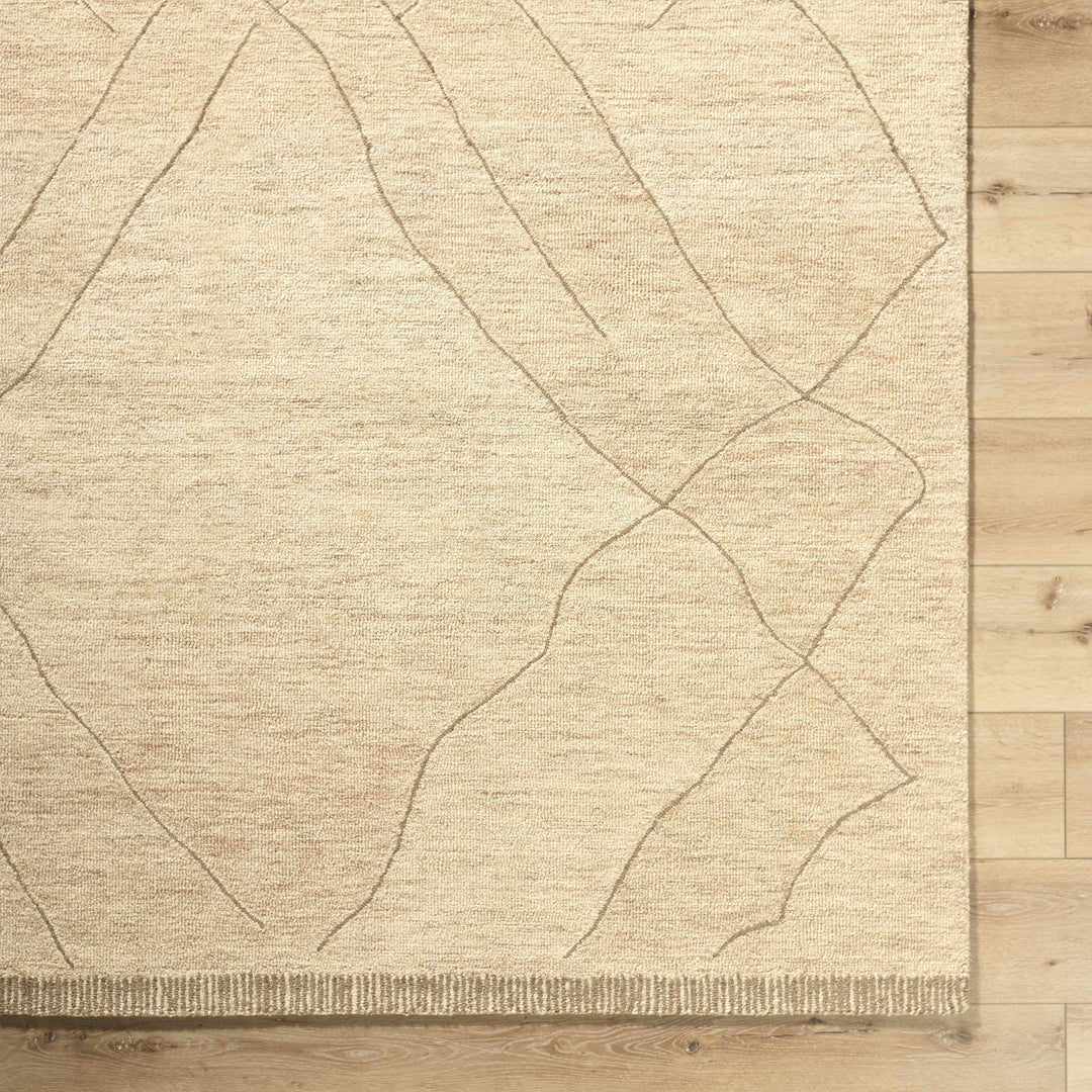 Addien Beige Contemporary Style Hand Tufted Wool Area Rug - The Rug Decor