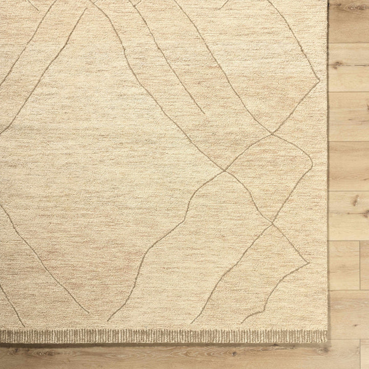 Addien Beige Contemporary Style Hand Tufted Wool Area Rug - The Rug Decor