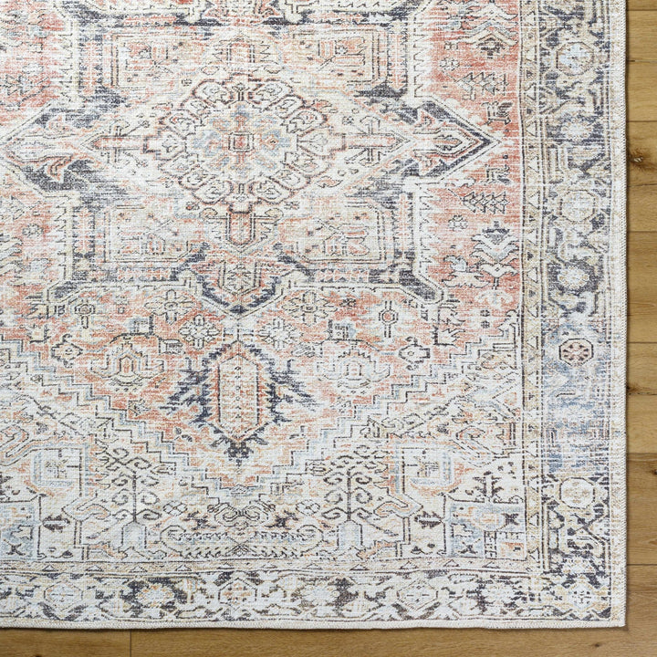 Aethwy Traditional Style Gray And Brown Washable Area Rug - The Rug Decor