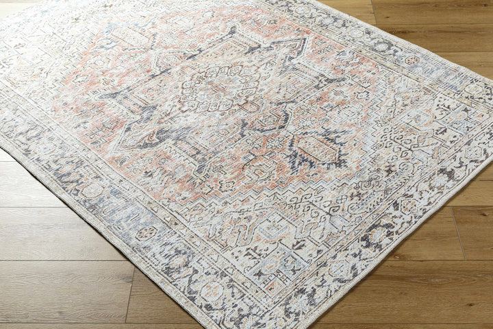 Aethwy Traditional Style Gray And Brown Washable Area Rug - The Rug Decor