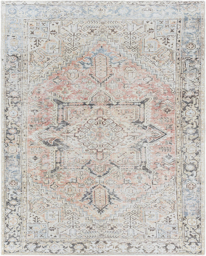 Aethwy Traditional Style Gray And Brown Washable Area Rug - The Rug Decor