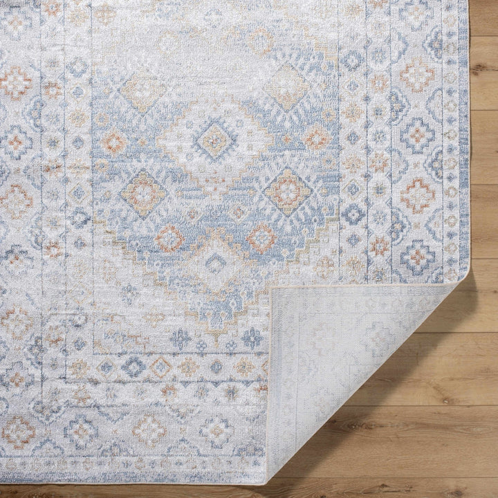Agaton Traditional Gray And Beige Washable Rug - The Rug Decor