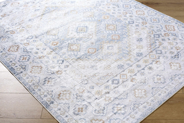Agaton Traditional Gray And Beige Washable Rug - The Rug Decor