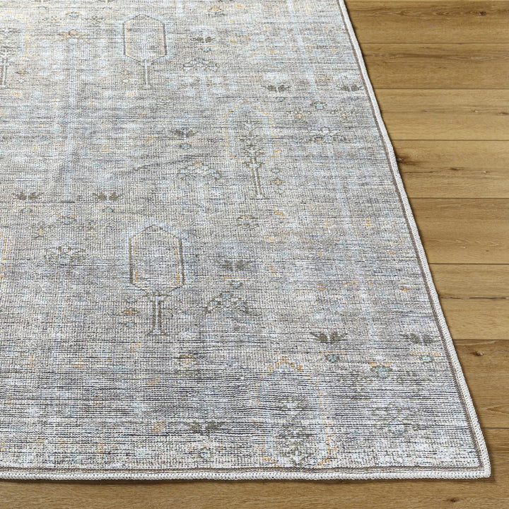 Aglaja Traditional Style Gray Machine Washable Area Rug - The Rug Decor