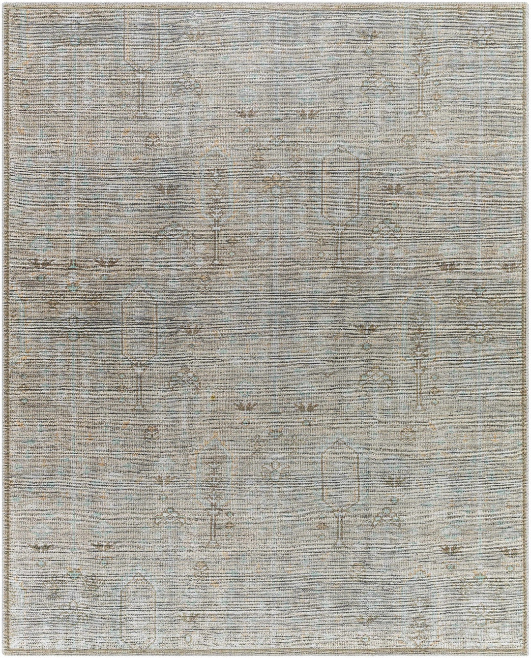 Aglaja Traditional Style Gray Machine Washable Area Rug - The Rug Decor