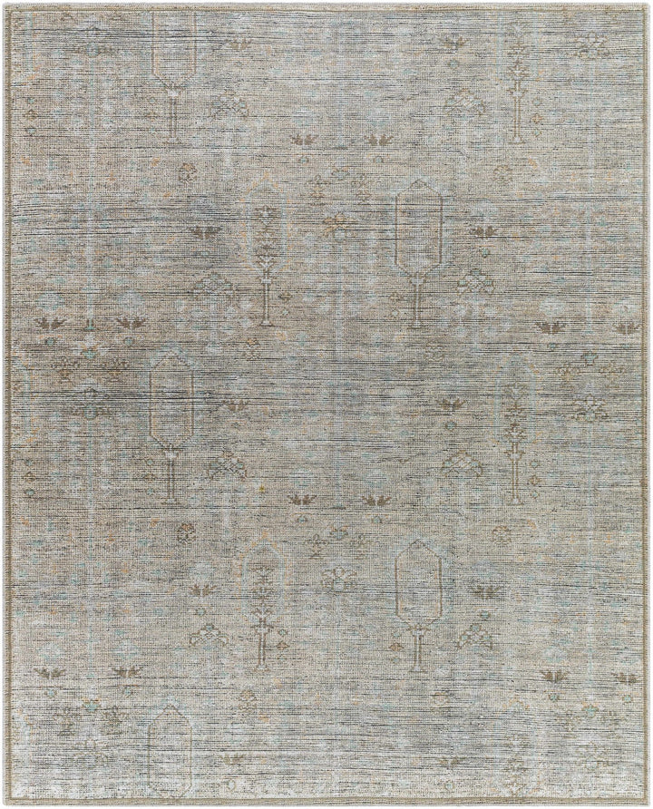 Aglaja Traditional Style Gray Machine Washable Area Rug - The Rug Decor